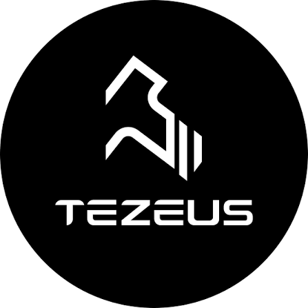 Tezeus logo